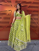 Parrot green Lehenga Choli Set