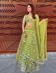 Parrot green Lehenga Choli Set